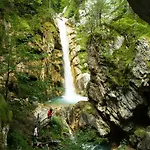 Alpinum Ξενοδοχείο Treffen