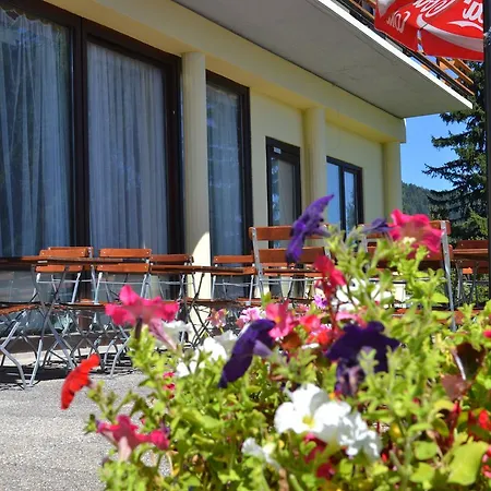 Alpinum Hotel