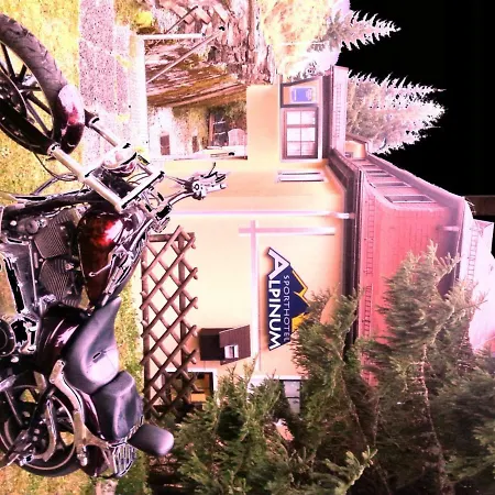 ホテル Alpinum トレフェン